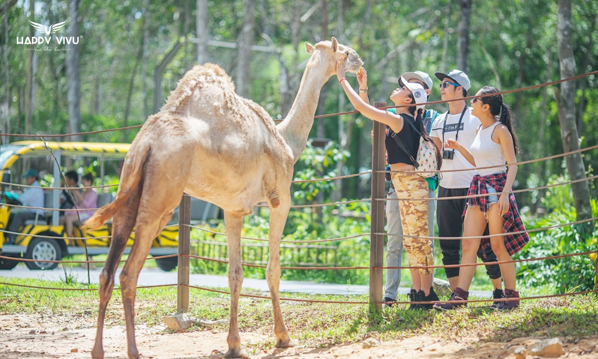 Khu Safari bán hoang dã (Safari Park)