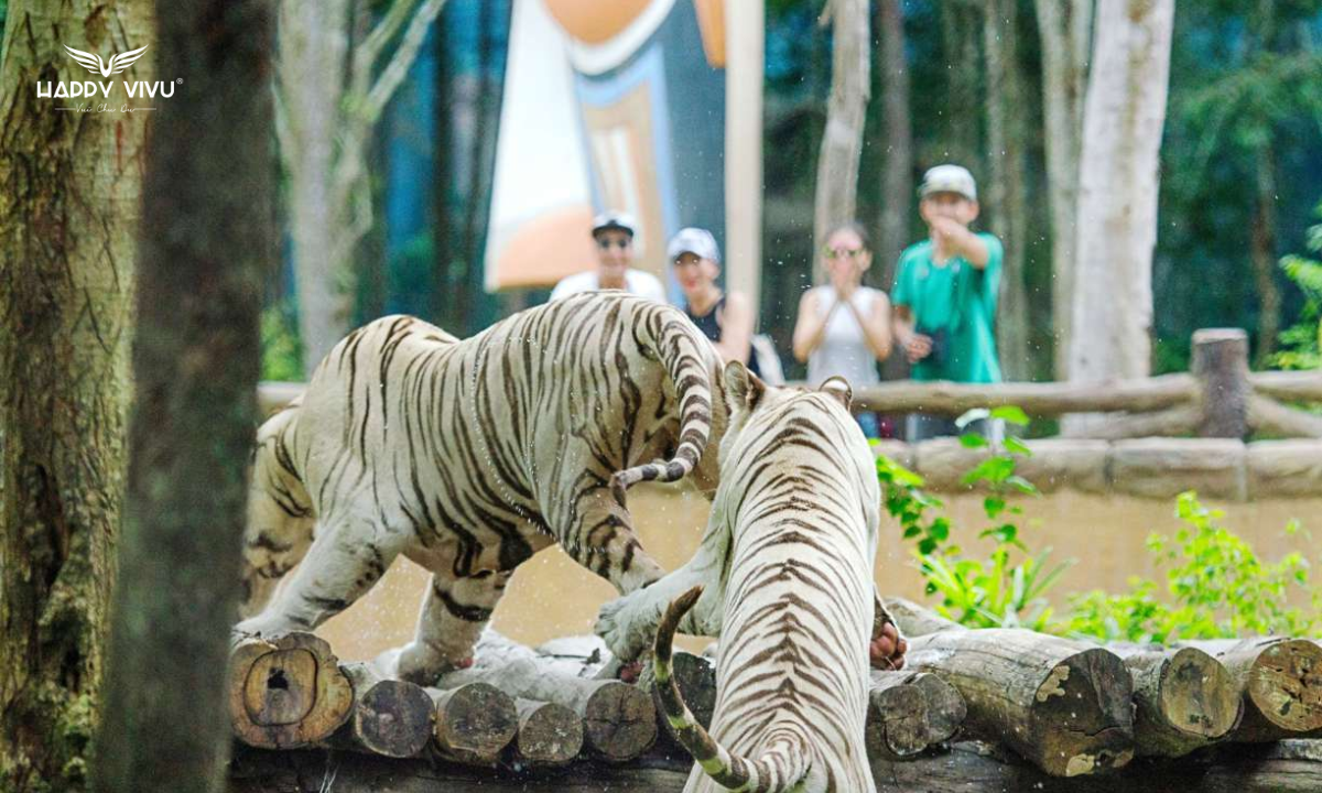 Vườn thú mở (Open Zoo)